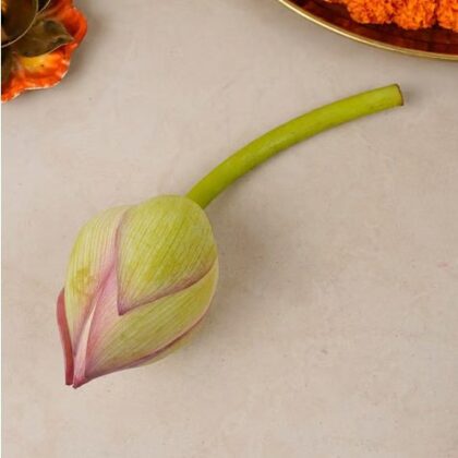 🪷Lotus-Kamal🪷