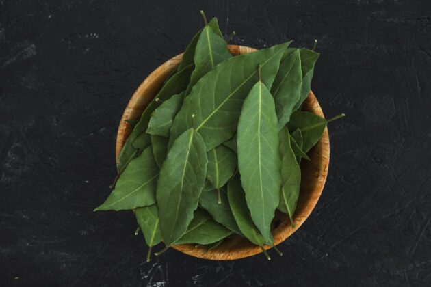 🌿 Paan Leaf 🌿 - Image 2