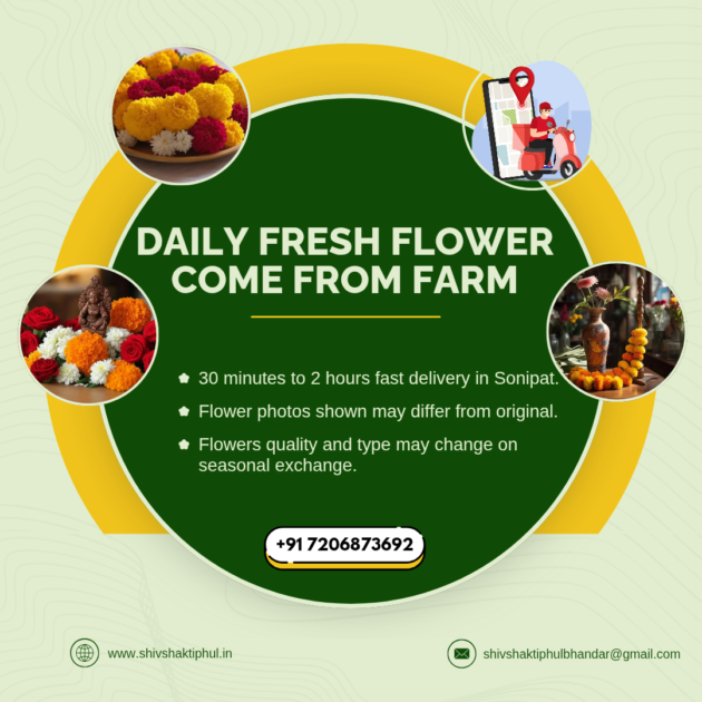 💐 Indian Rose (Desi Gulab) Flower Bouquet 💐 with Poly wrap - Image 8