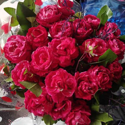 💐 Indian Rose (Desi Gulab) Flower Bouquet 💐 with Poly wrap