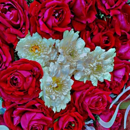 💐 Mix Flower & Indian rose (Desi Gulab)
 Flower Bouquet 💐 with Poly wrap