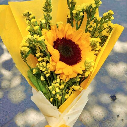 🌻 Sunflower 🌻